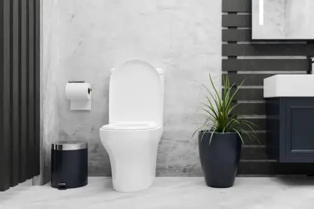 Toilet & Tap Replacements